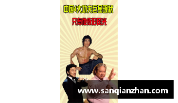 中国第四大功夫巨星？(加拿大籍华人明星？)